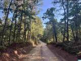  Lane Branch Road - Photo 4
