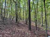  Lane Branch Road - Photo 6