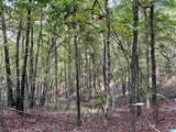  Lane Branch Road - Photo 7