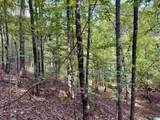  Lane Branch Road - Photo 7