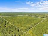 0 County Road 455 - Photo 1