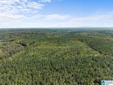 0 County Road 455 - Photo 3