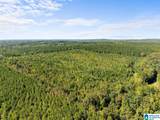 0 County Road 455 - Photo 4