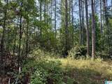  Peninsula Drive - Photo 9