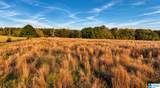 3279 Whitting Road - Photo 3