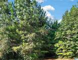 00000 Liberty Lyles Road - Photo 16