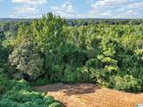 00000 Liberty Lyles Road - Photo 17