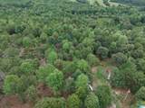 13050 County Road 65 - Photo 4