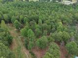 13050 County Road 65 - Photo 6