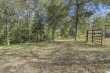 4 County Road 244 - Photo 36