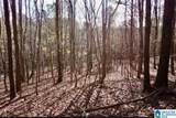 00 County Road 369 - Photo 11