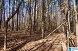 00 County Road 369 - Photo 12