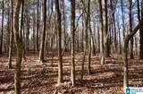00 County Road 369 - Photo 13