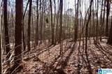 00 County Road 369 - Photo 14
