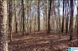 00 County Road 369 - Photo 15