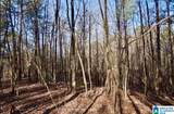 00 County Road 369 - Photo 16