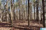 00 County Road 369 - Photo 17