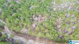00 County Road 369 - Photo 23