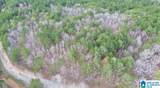 00 County Road 369 - Photo 26