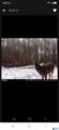 275 Pendley Creek Road - Photo 13
