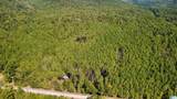 275 Pendley Creek Road - Photo 8