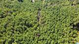 275 Pendley Creek Road - Photo 9