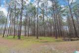 Lot #17 Northside Road - Photo 4