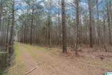 Lot #17 Northside Road - Photo 6
