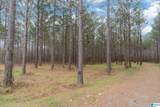 Lot #17 Northside Road - Photo 7