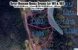 101 & 102 Sipsey Overlook Drive - Photo 2