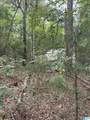 0 Dearmanville Road - Photo 10