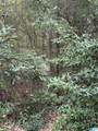 0 Dearmanville Road - Photo 2