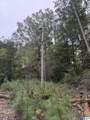 0 Dearmanville Road - Photo 3