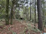 0 Dearmanville Road - Photo 8