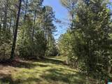 40+/- Acres County Road 457 - Photo 12