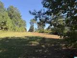 40+/- Acres County Road 457 - Photo 13