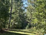 40+/- Acres County Road 457 - Photo 14