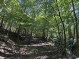 40+/- Acres County Road 457 - Photo 16