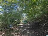 40+/- Acres County Road 457 - Photo 17