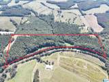 40+/- Acres County Road 457 - Photo 2
