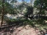 40+/- Acres County Road 457 - Photo 22