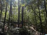 40+/- Acres County Road 457 - Photo 23