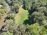 40+/- Acres County Road 457 - Photo 30