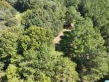 40+/- Acres County Road 457 - Photo 32