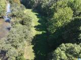 40+/- Acres County Road 457 - Photo 34