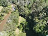 40+/- Acres County Road 457 - Photo 37