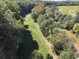 40+/- Acres County Road 457 - Photo 38