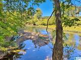 40+/- Acres County Road 457 - Photo 4