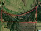 40+/- Acres County Road 457 - Photo 41