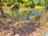 40+/- Acres County Road 457 - Photo 5